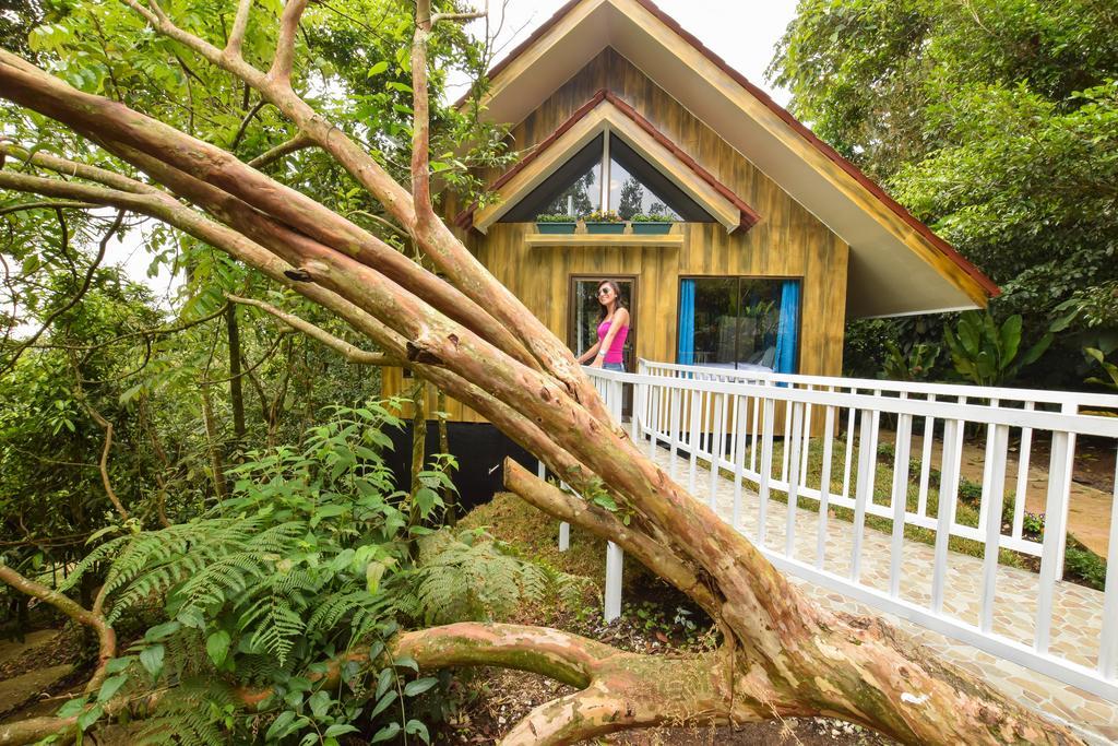 Arenal Waterfall Lodge Εξωτερικό φωτογραφία